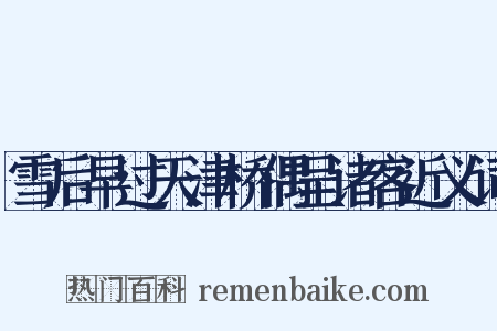 雪后早过天津桥偶呈诸客近义词是什么意思的图片